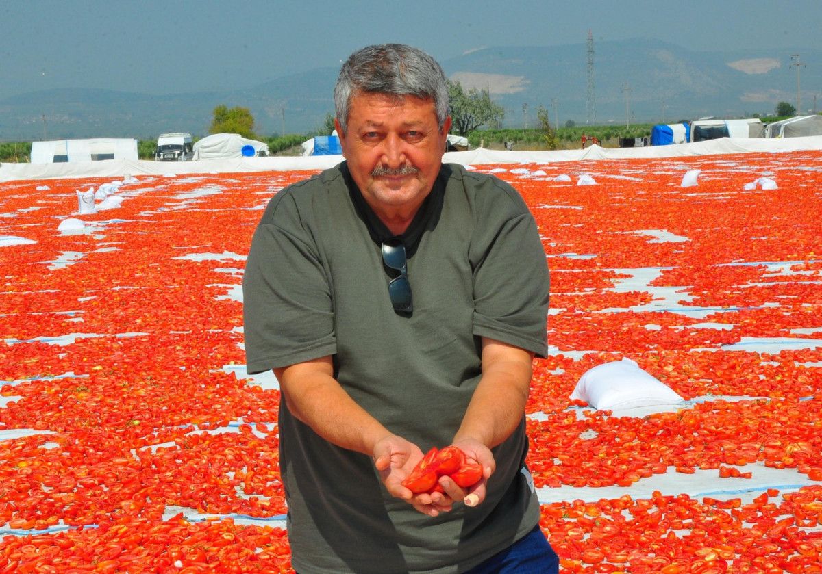 İlçelerdeki Kurutma ve Ekonomi