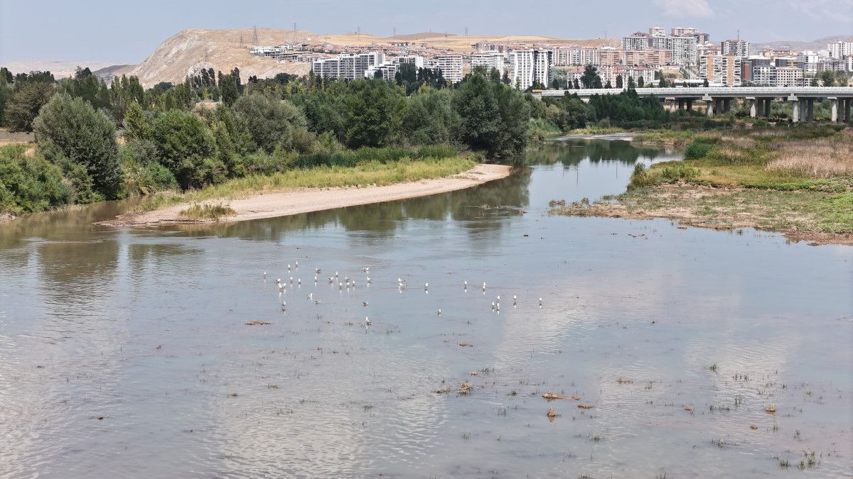 Türkiye'nin en uzun nehri kuraklıkla karşı karşıya