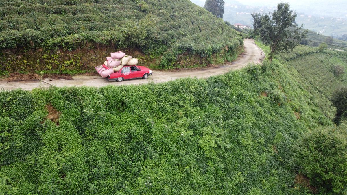 Rizeliler çay taşımak için yeni yöntem geliştirdi