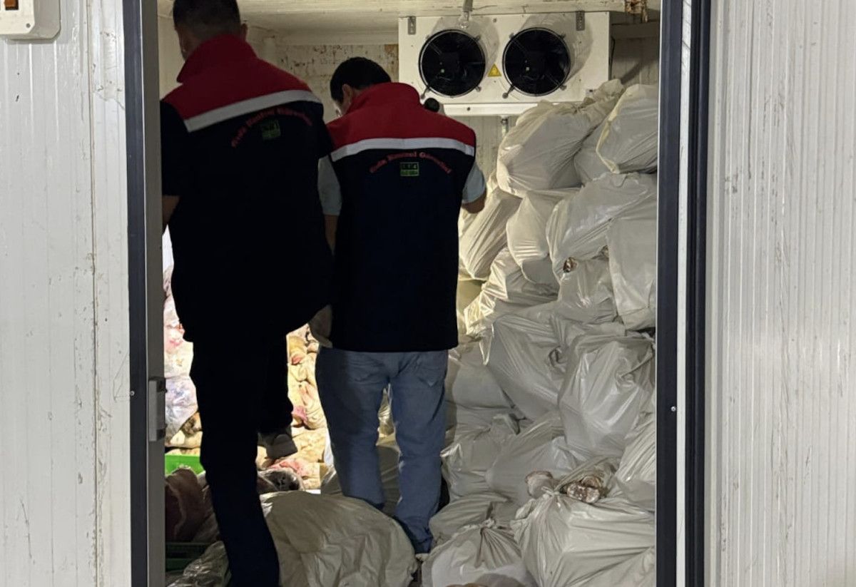 Şırnak'ta 3 ton kaçak et ele geçirildi