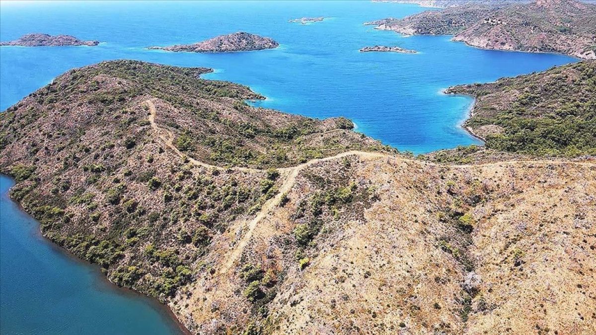 Marmaris'teki yangınlar sonrası doğa yeniden can buluyor