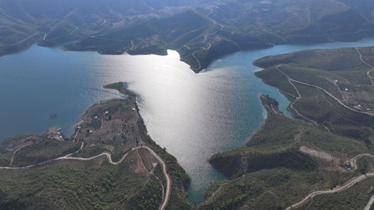 Manavgat'ta yanan ormanlık alanlar, yeşermeye başladı