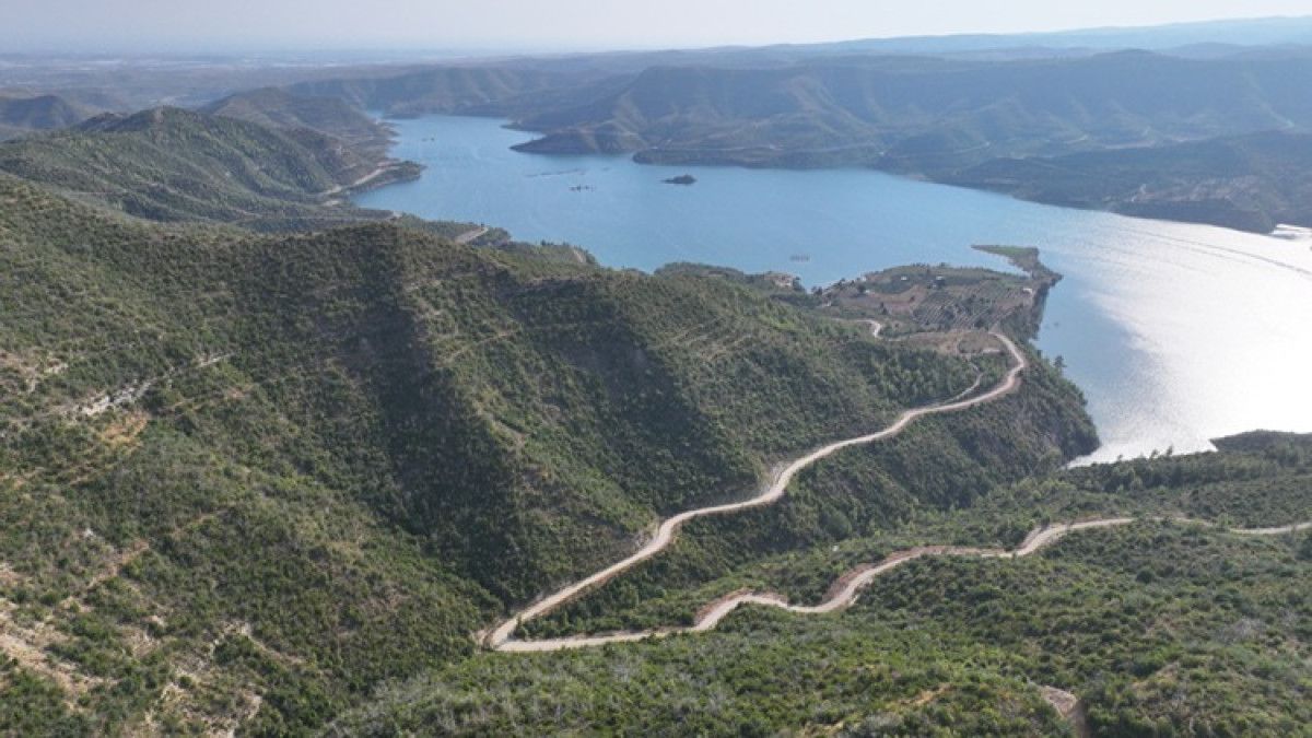 Manavgat'ta yanan ormanlık alanlar, yeşermeye başladı