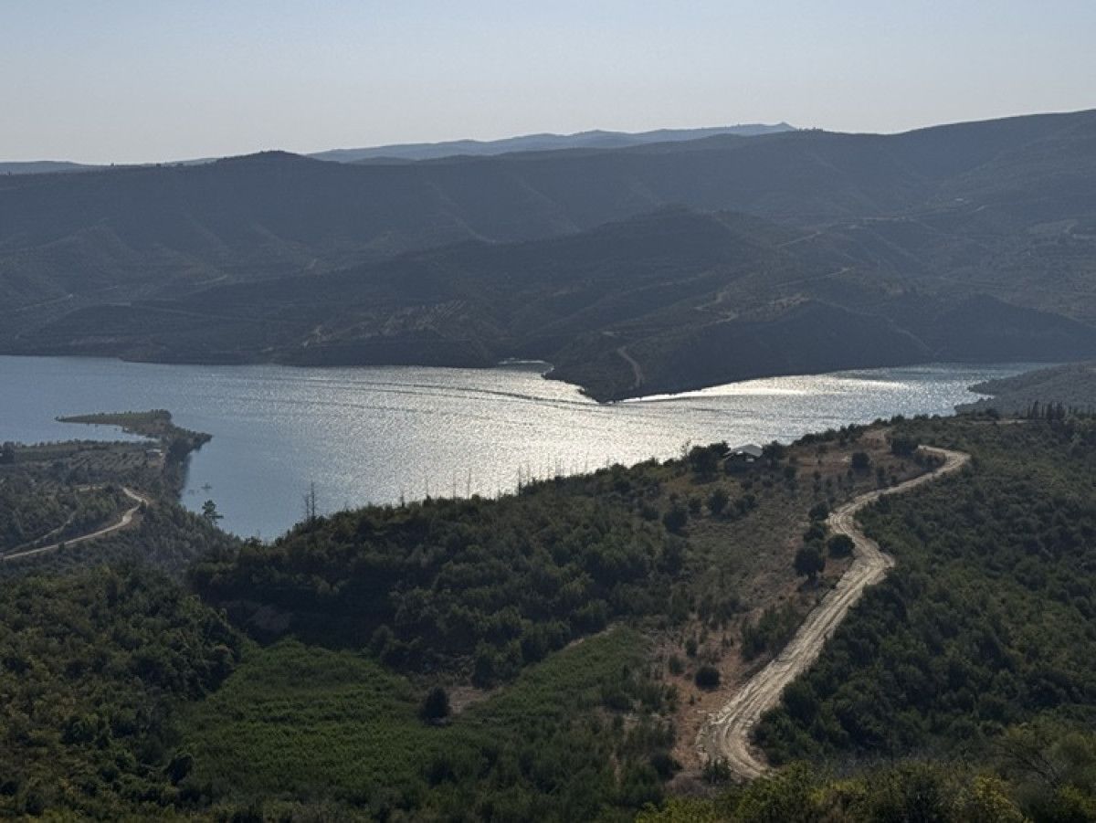 Manavgat'ta yanan ormanlık alanlar, yeşermeye başladı