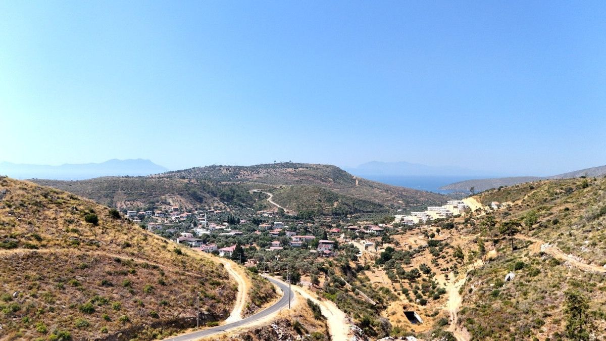 Muğla'da küle dönen ormanlar, 5 yılda yeniden hayat buldu