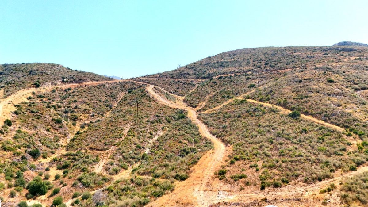 Muğla'da küle dönen ormanlar, 5 yılda yeniden hayat buldu