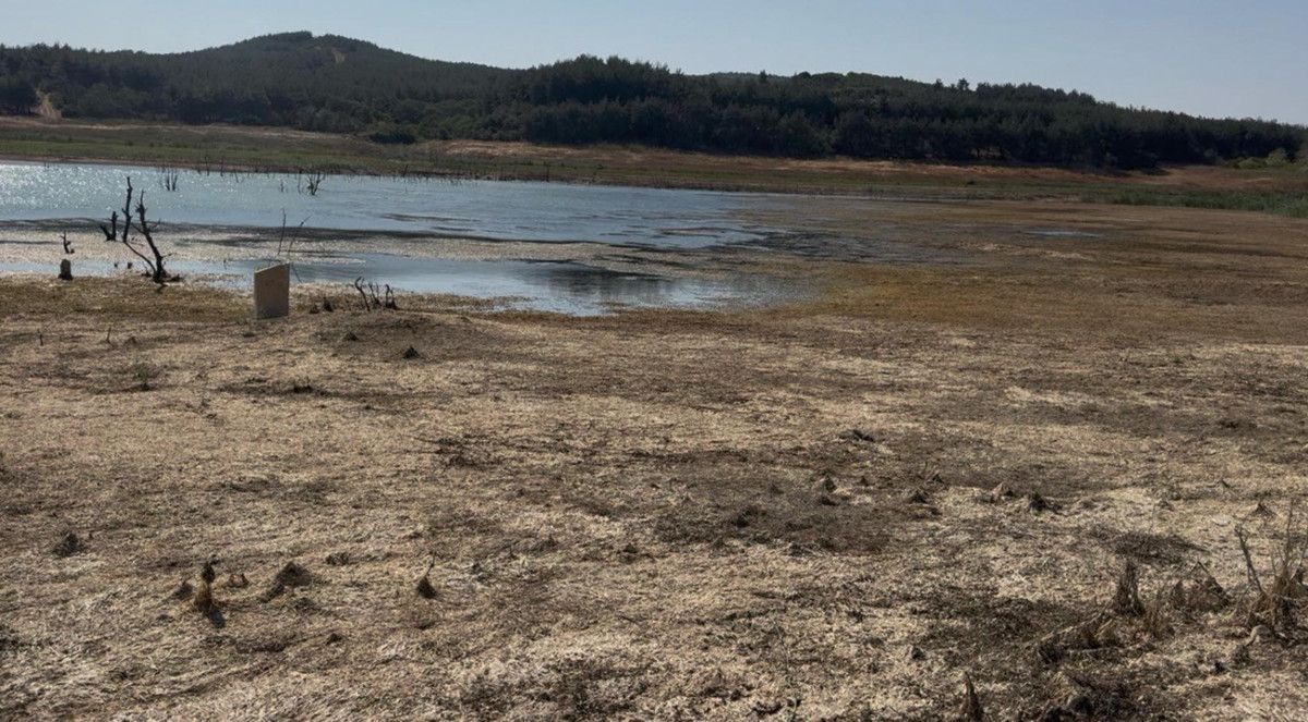 Tekirdağ'da Yazır Göleti alarm veriyor: Su seviyesi yüzde 4'e düştü