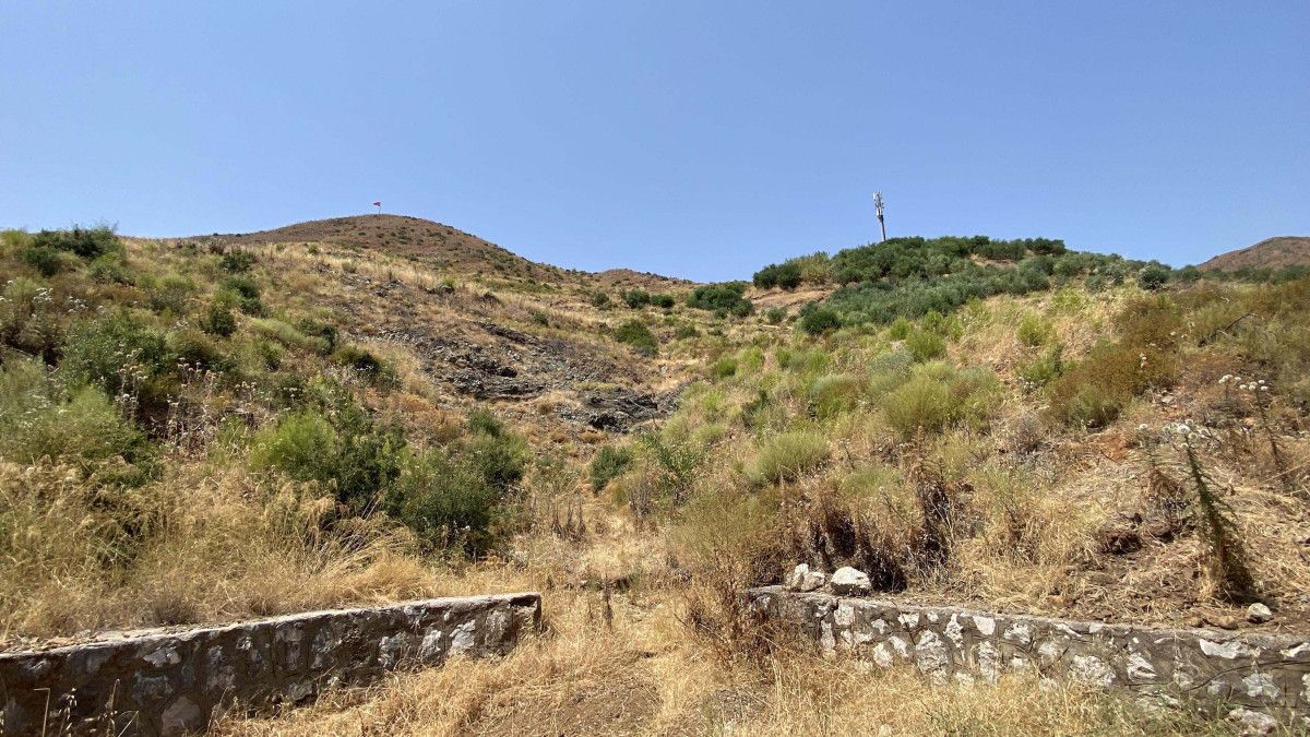 Muğla Marmaris'te yanan bölgeler yeniden yeşillendi