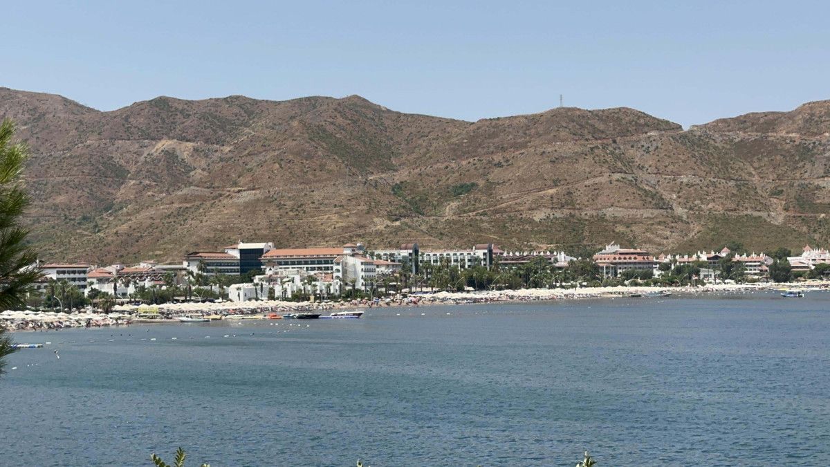 Muğla Marmaris'te yanan bölgeler yeniden yeşillendi