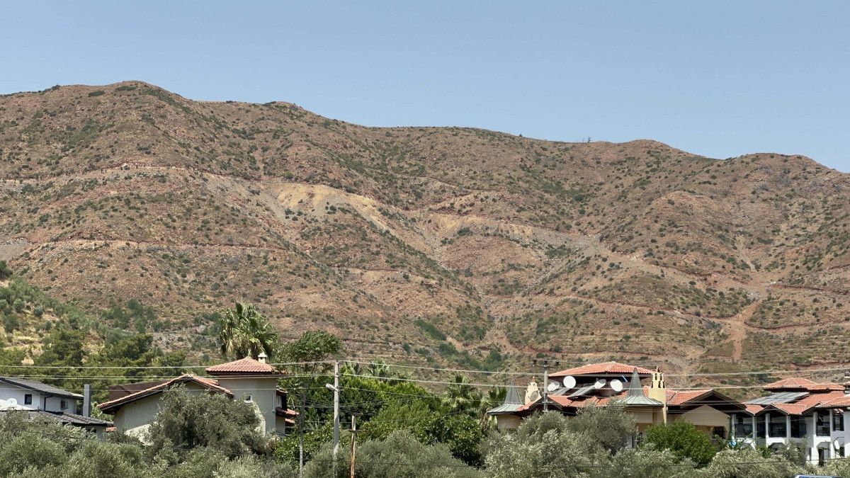 Muğla Marmaris'te yanan bölgeler yeniden yeşillendi