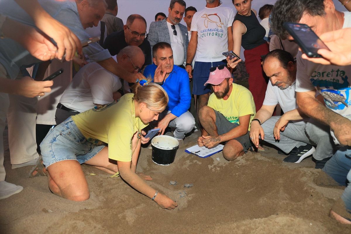 İztuzu’nda caretta caretta yuvaları arttı