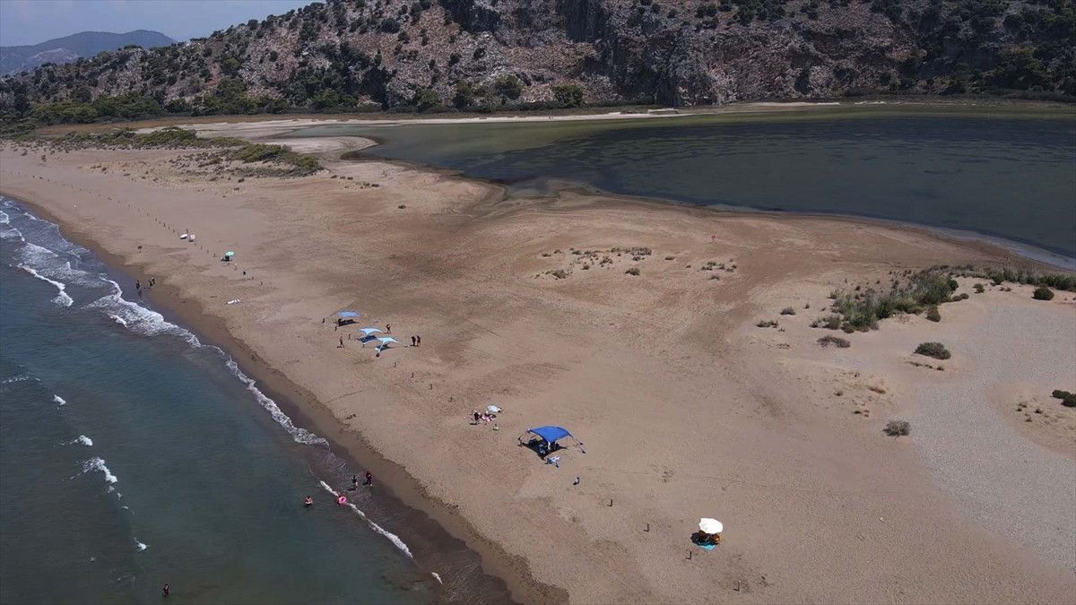 İztuzu’nda caretta caretta yuvaları arttı