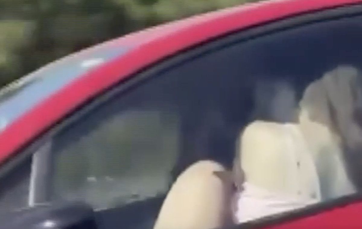 İstanbul'da seyir halindeki araçta uygunsuz hareketler yapan şahıslar, yakalandı