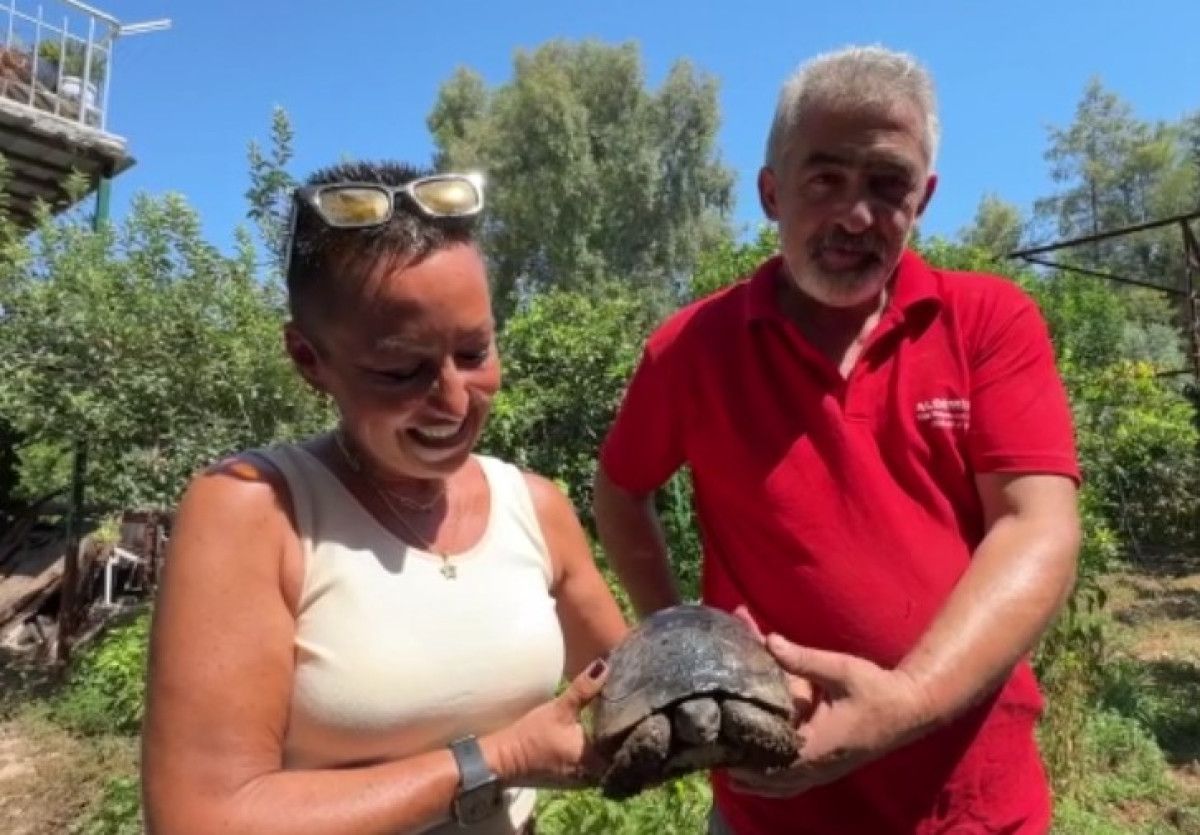 Fethiye’de kaplumbağanın kırık kabuğunu ahşap ustası onardı