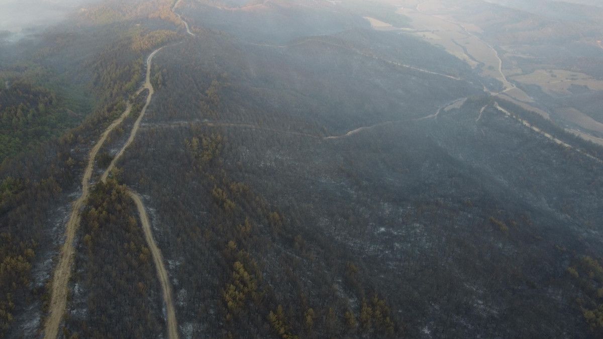 Çanakkale’deki orman yangınında zarar gören alanlar görüntülendi