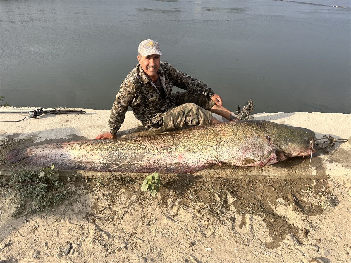 Meriç Nehri’nde 100 kiloluk yayın balığı avı
