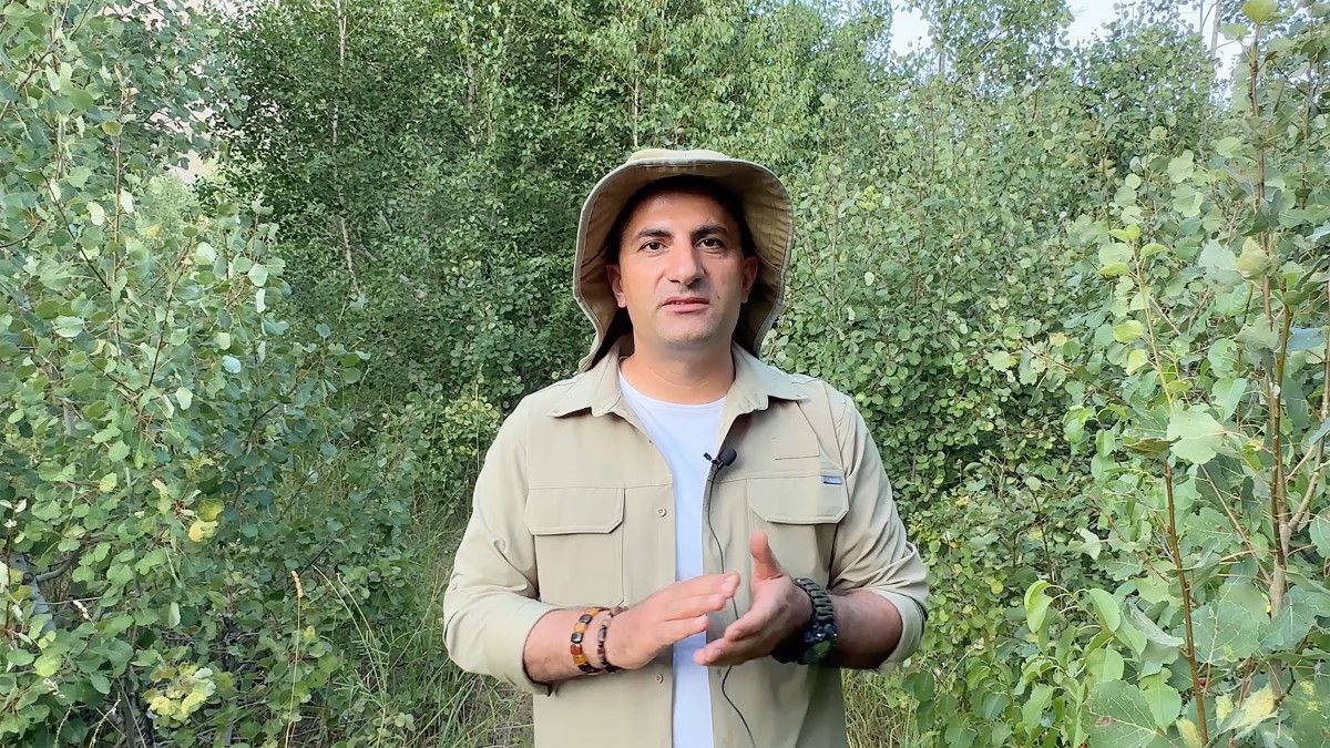 Nemrut Kalderası’nda ayılar hem yüzdü hem piknikçilere 'misafir' oldu