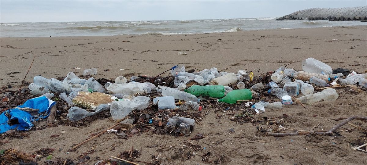 Karadeniz Kirlilik Haritası: Bölgesel Sorunlar ve Çözüm Önerileri