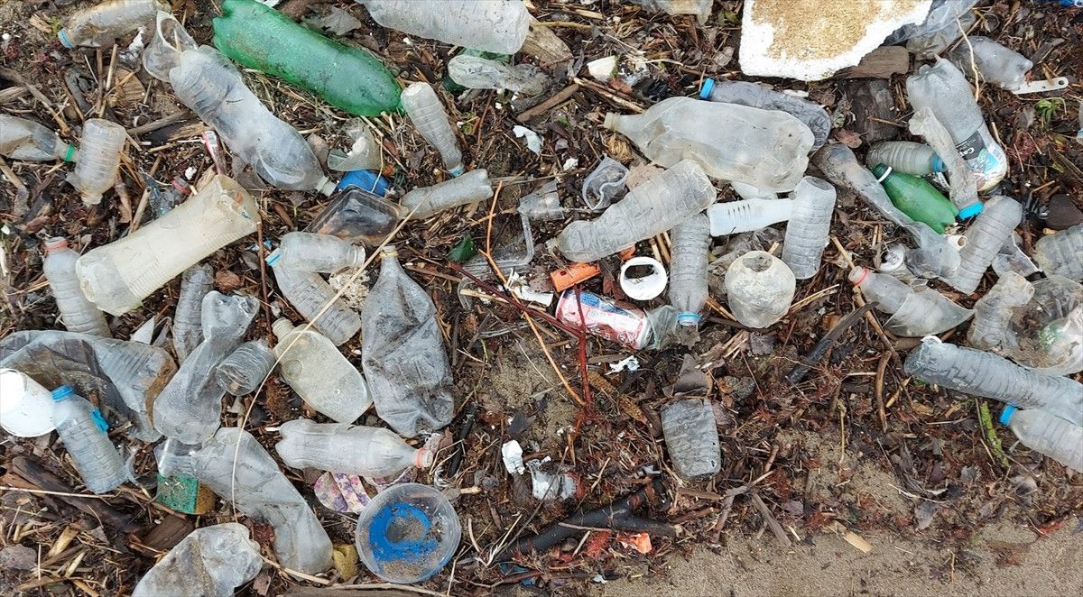 Karadeniz Kirlilik Haritası: Bölgesel Sorunlar ve Çözüm Önerileri