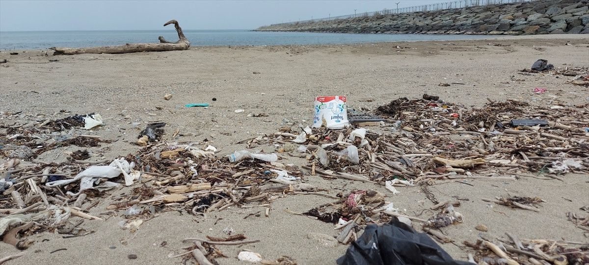Karadeniz Kirlilik Haritası: Bölgesel Sorunlar ve Çözüm Önerileri