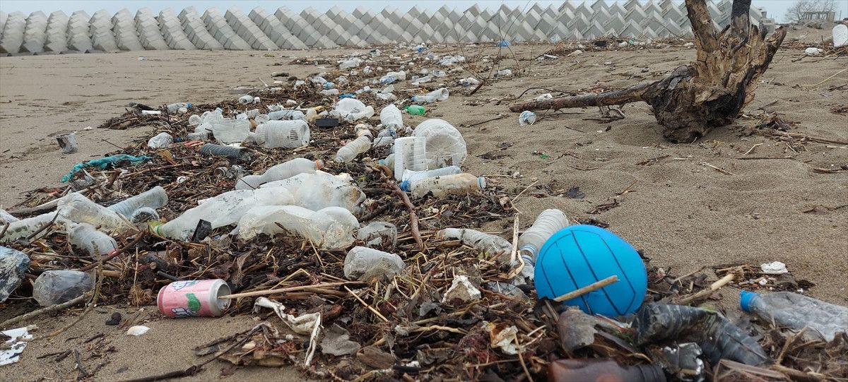 Karadeniz Kirlilik Haritası: Bölgesel Sorunlar ve Çözüm Önerileri