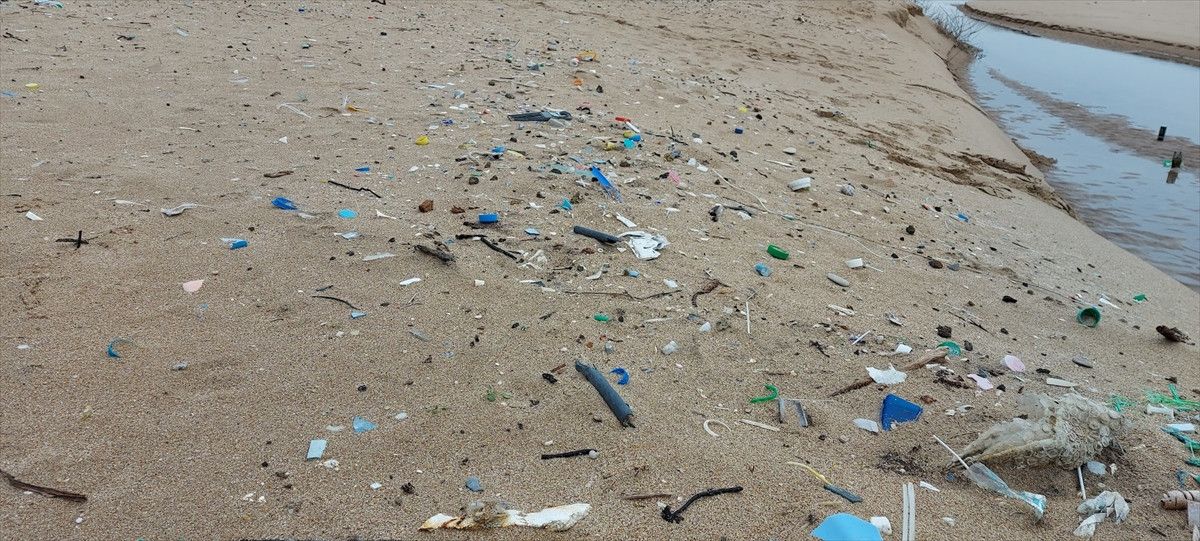 Karadeniz Kirlilik Haritası: Bölgesel Sorunlar ve Çözüm Önerileri
