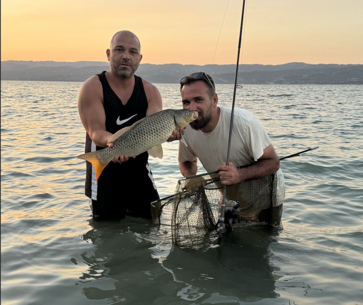 Sapanca Gölü'nde Yavrularla Gelen Umut: 17 Sazan ve Doğal Yaşam Yeniden Dengede