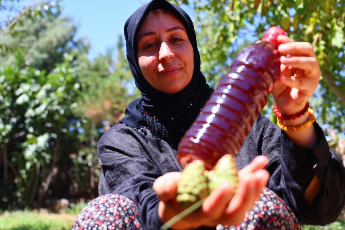 Kozalak Şurubuyla Sigara Bırakmaya Yardım Eden Doğal Ürünler: Elazığ'dan Bir Deneyim