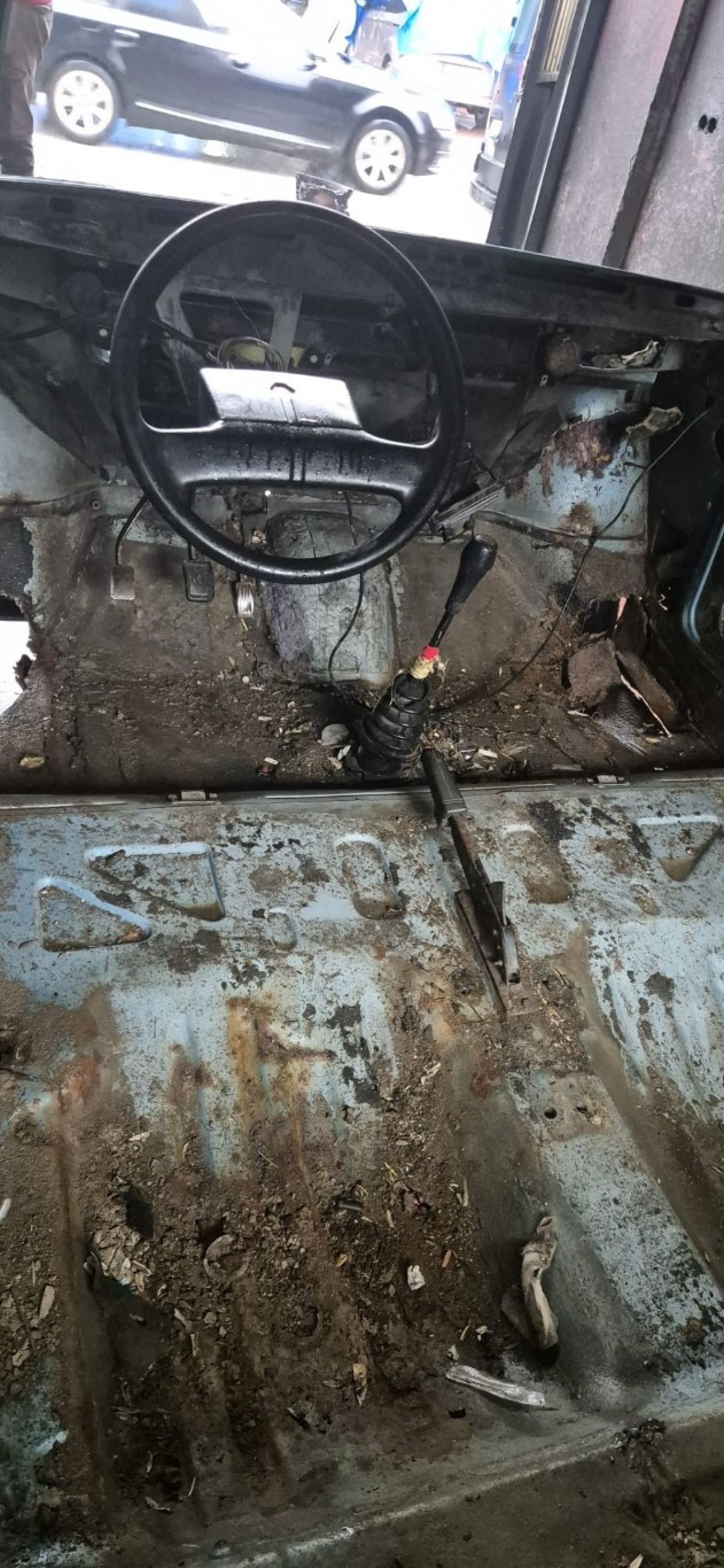 Maviş’i Yeniden Haysiyetine Kavuşturan Yolculuk: Acar’ın 41 Yıllık Özlemi ve Vefası
