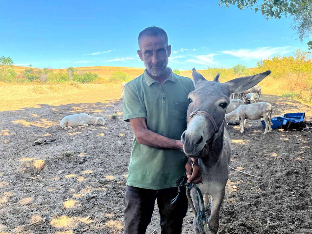 Kadife Eşeği: Edirne Otogarı'nda Taksici Dostluğu ve Sahibiyle Buluşması