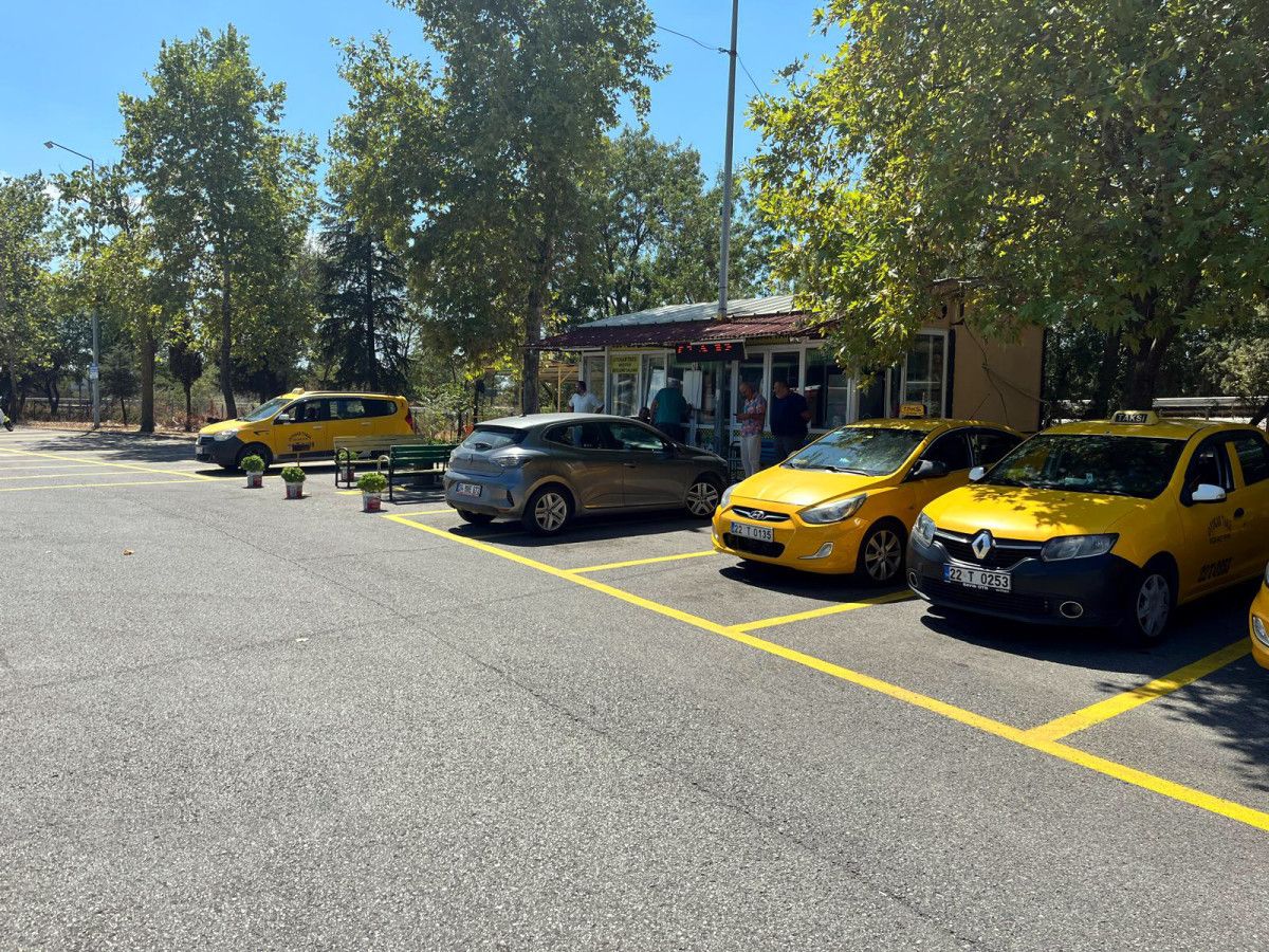 Kadife Eşeği: Edirne Otogarı'nda Taksici Dostluğu ve Sahibiyle Buluşması