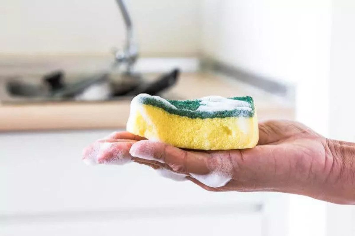 Bulaşık Süngerlerinde Bakteriyle Mücadelede Tuzun Gücü