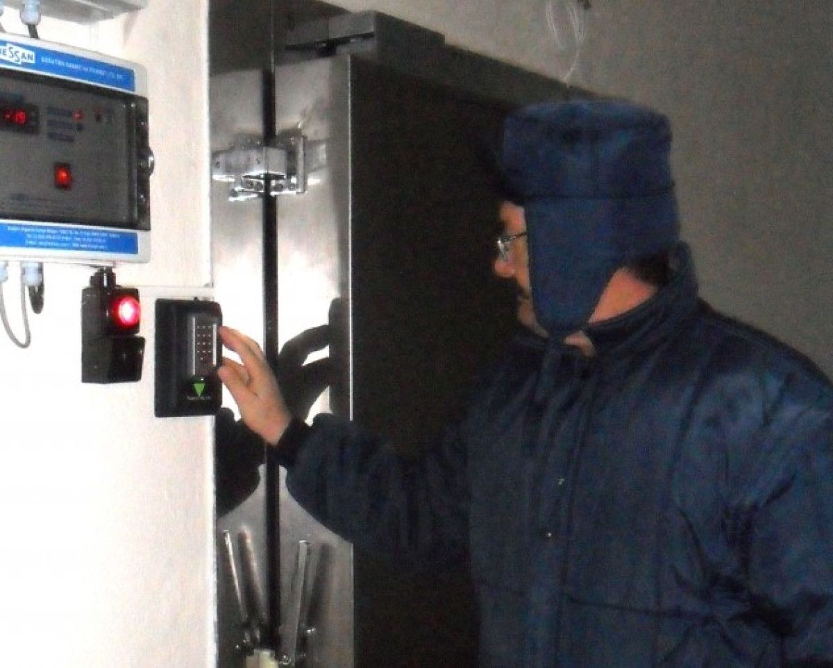 Gıda Güvenliği İçin Genetik Kaynakların Türkiye Gen Bankalarında Tasnifi ve Korunması