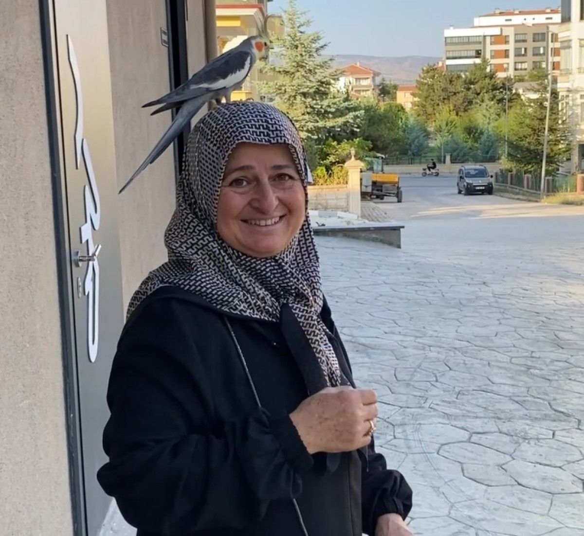 Duman: Dört Yıldır Ailesinin Neşesi Olan Papağan