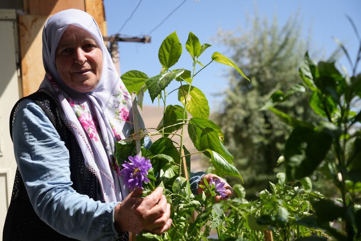 Mahallenin Meyve Bahçesi: Kiracı Olmanın Sırrı, Ev Sahipliğe Dönüşen Yaşam Hikayesi