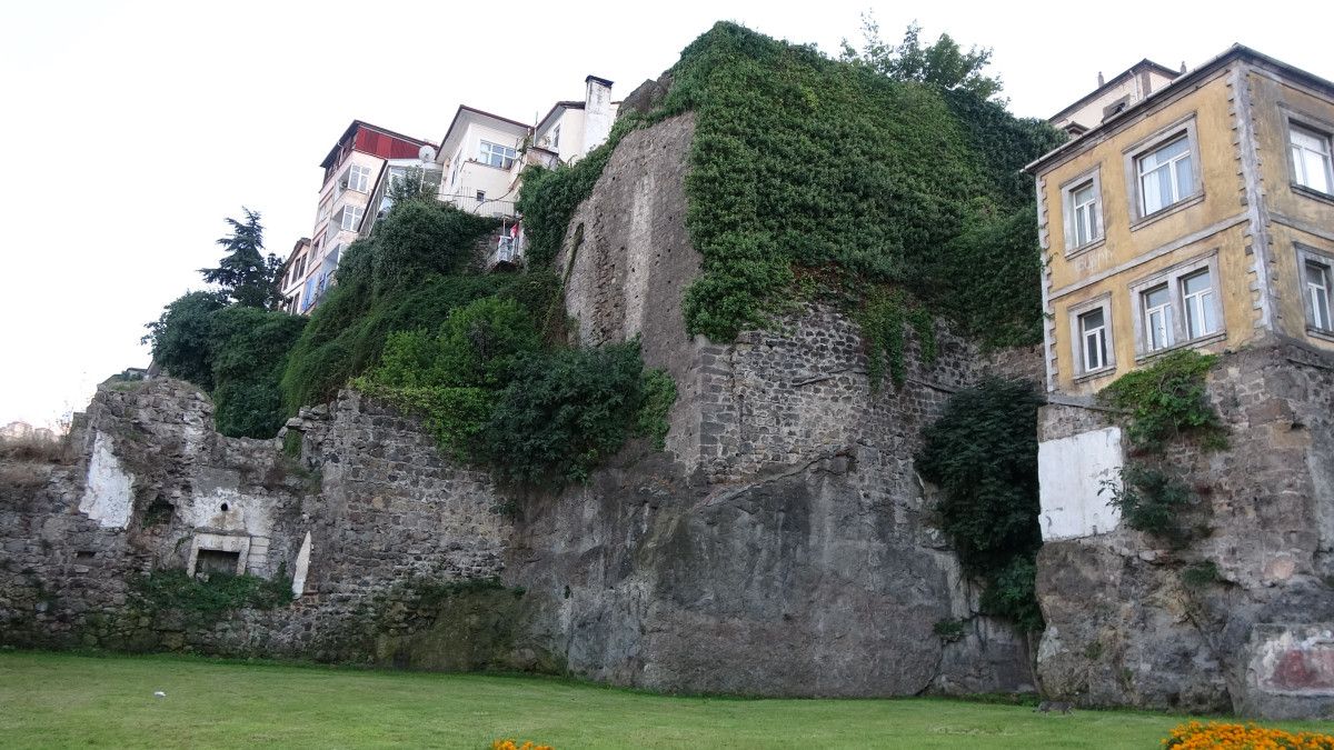 Sur ve Tarihi Evlerin Bütünleşen Dokusunda Kentsel Dönüşüm: Koruma ve Görsellik
