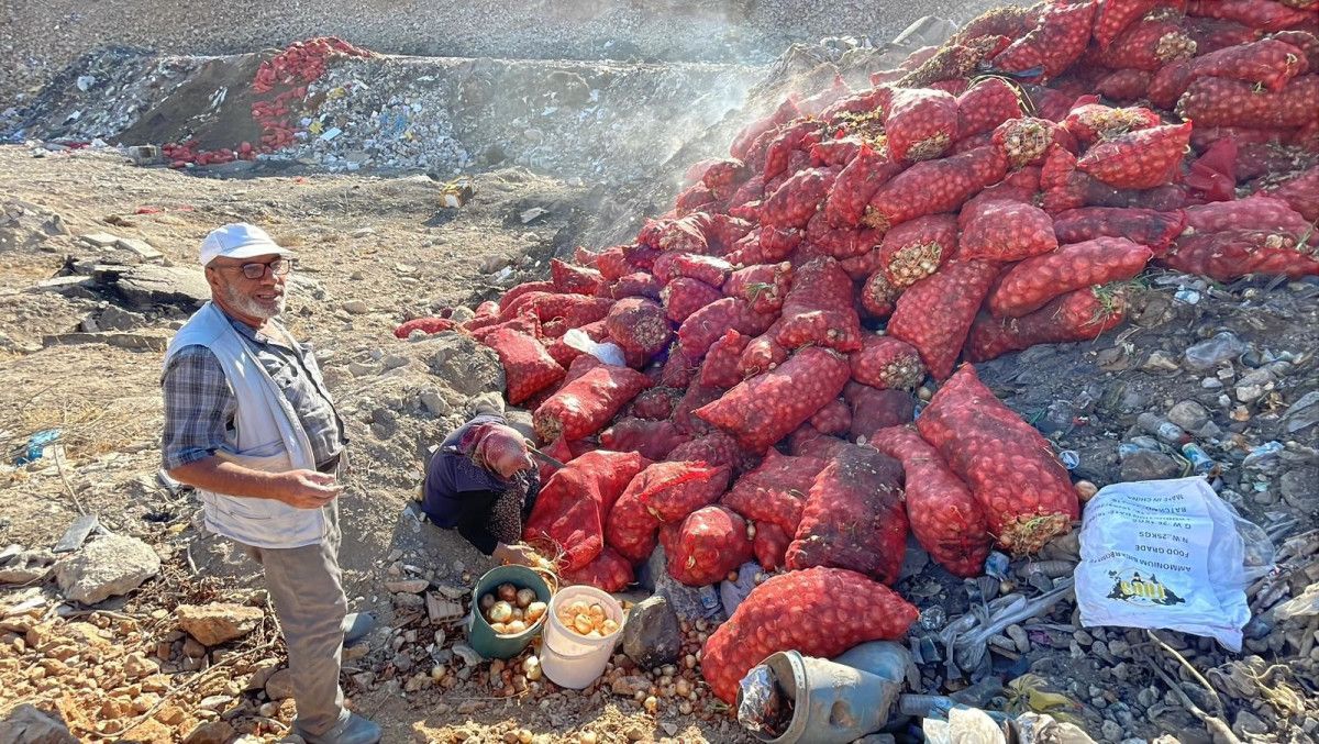 Boş arazide tonlarca soğan dökümü: Vatandaşlar tepkili ve soğanları topluyor