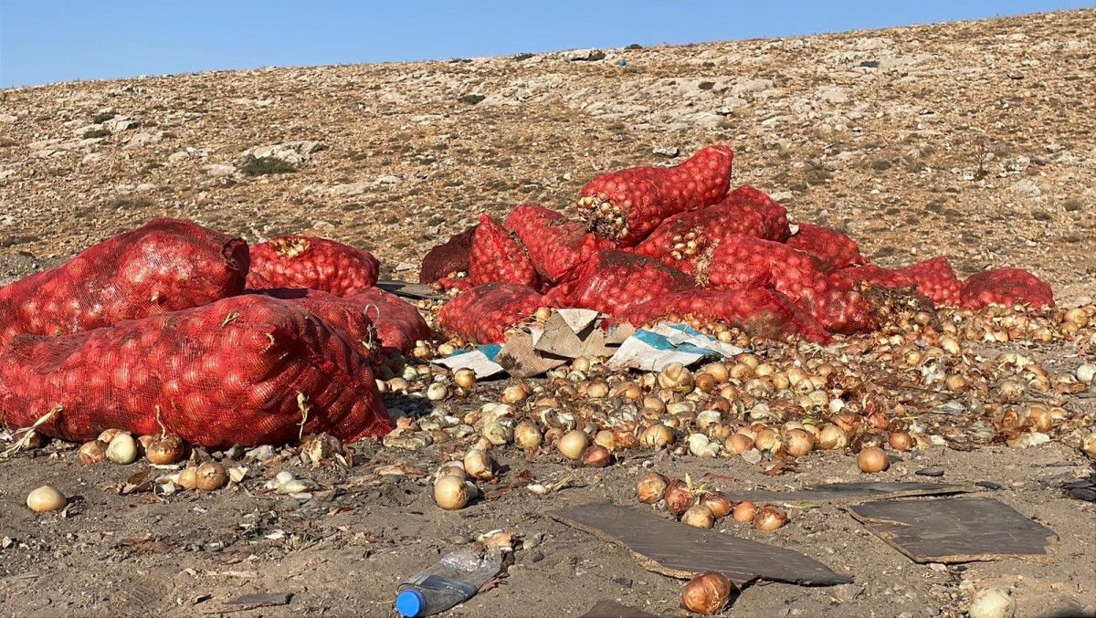 Boş arazide tonlarca soğan dökümü: Vatandaşlar tepkili ve soğanları topluyor