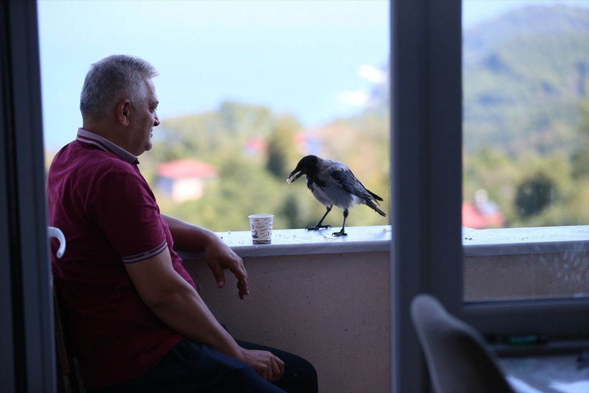 Fındık Bahçesinde Dostluk: Şakir ile Kemal’in Kendine Has Öyküsü