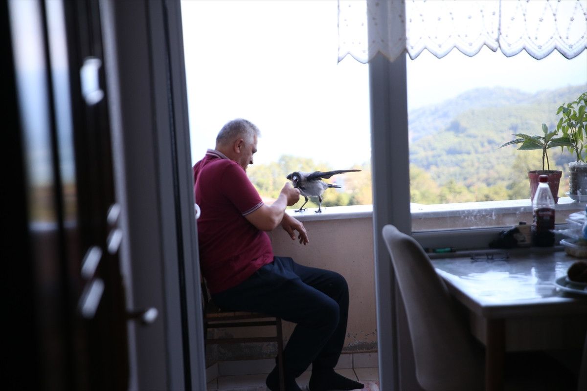 Fındık Bahçesinde Dostluk: Şakir ile Kemal’in Kendine Has Öyküsü