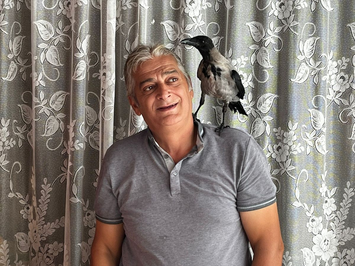 Fındık Bahçesinde Dostluk: Şakir ile Kemal’in Kendine Has Öyküsü