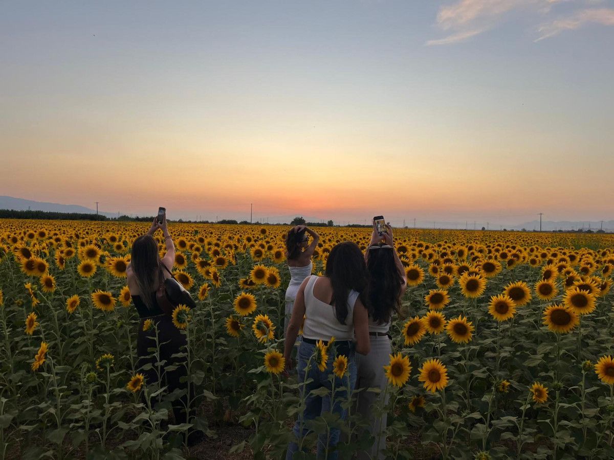 Efeler’in Ayçiçeği Tarlalarında Gün Batımı Keyfi