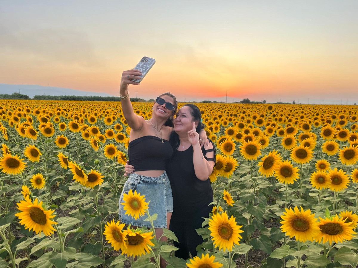 Efeler’in Ayçiçeği Tarlalarında Gün Batımı Keyfi