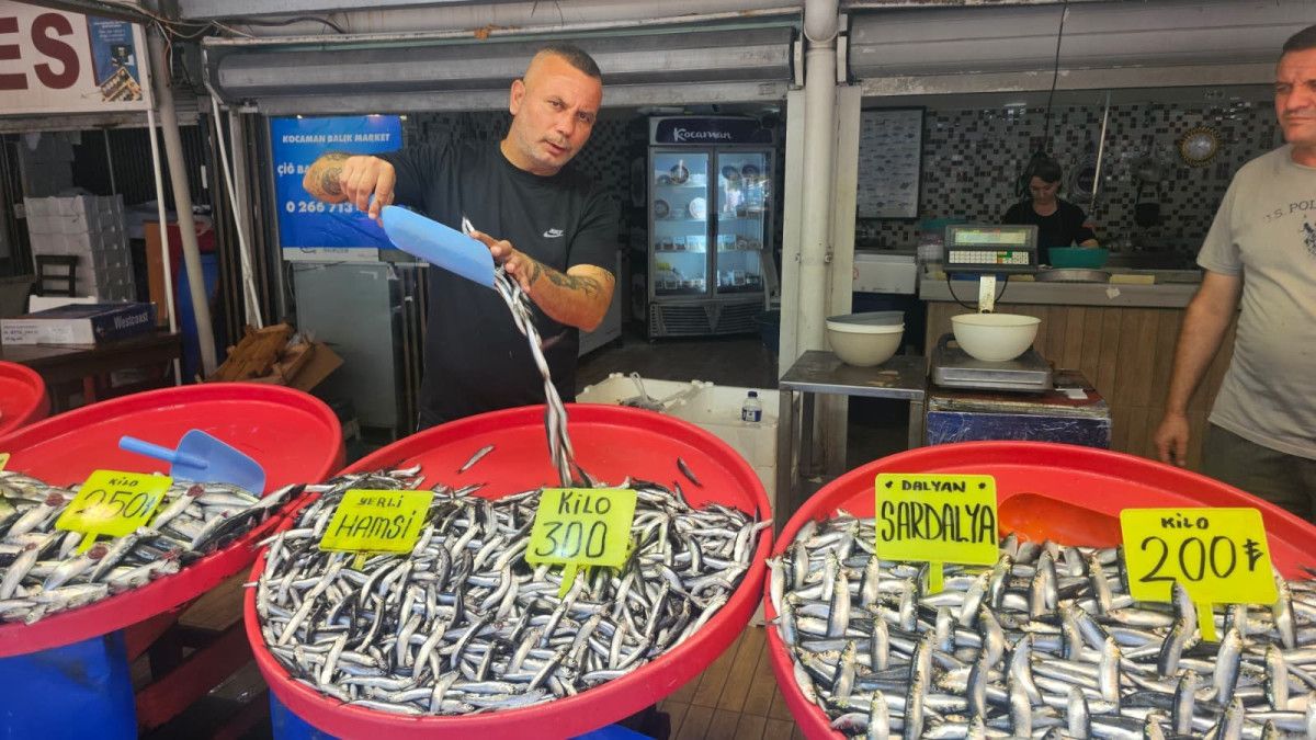 Bandırma Balık Hali’nde Bu Sezonda Balık Bolluğu ve Fiyat Dalgalanmaları