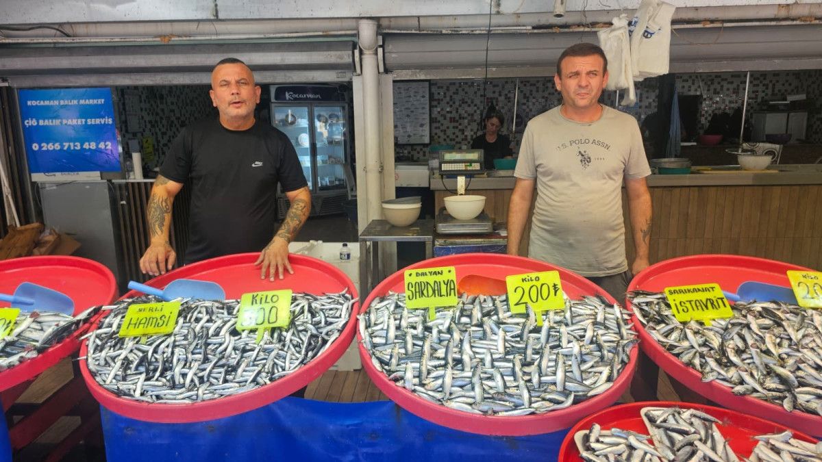Bandırma Balık Hali’nde Bu Sezonda Balık Bolluğu ve Fiyat Dalgalanmaları