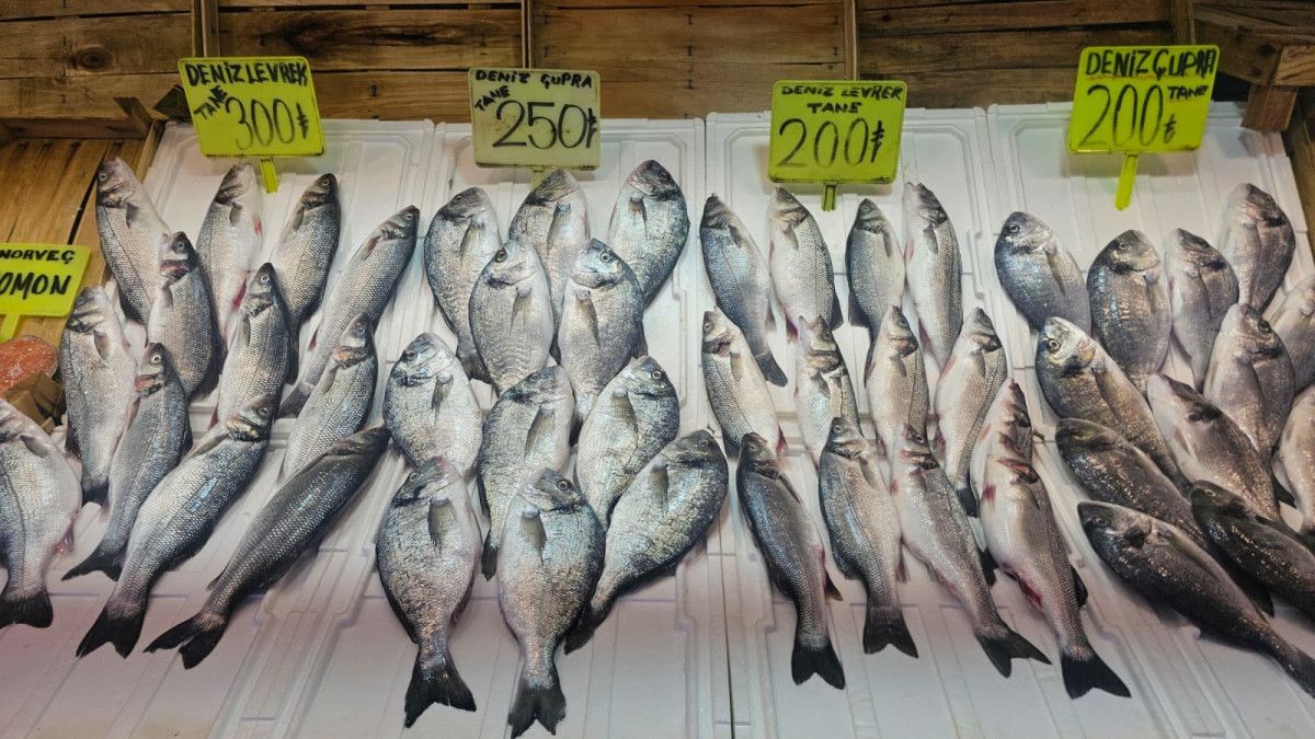 Bandırma Balık Hali’nde Bu Sezonda Balık Bolluğu ve Fiyat Dalgalanmaları