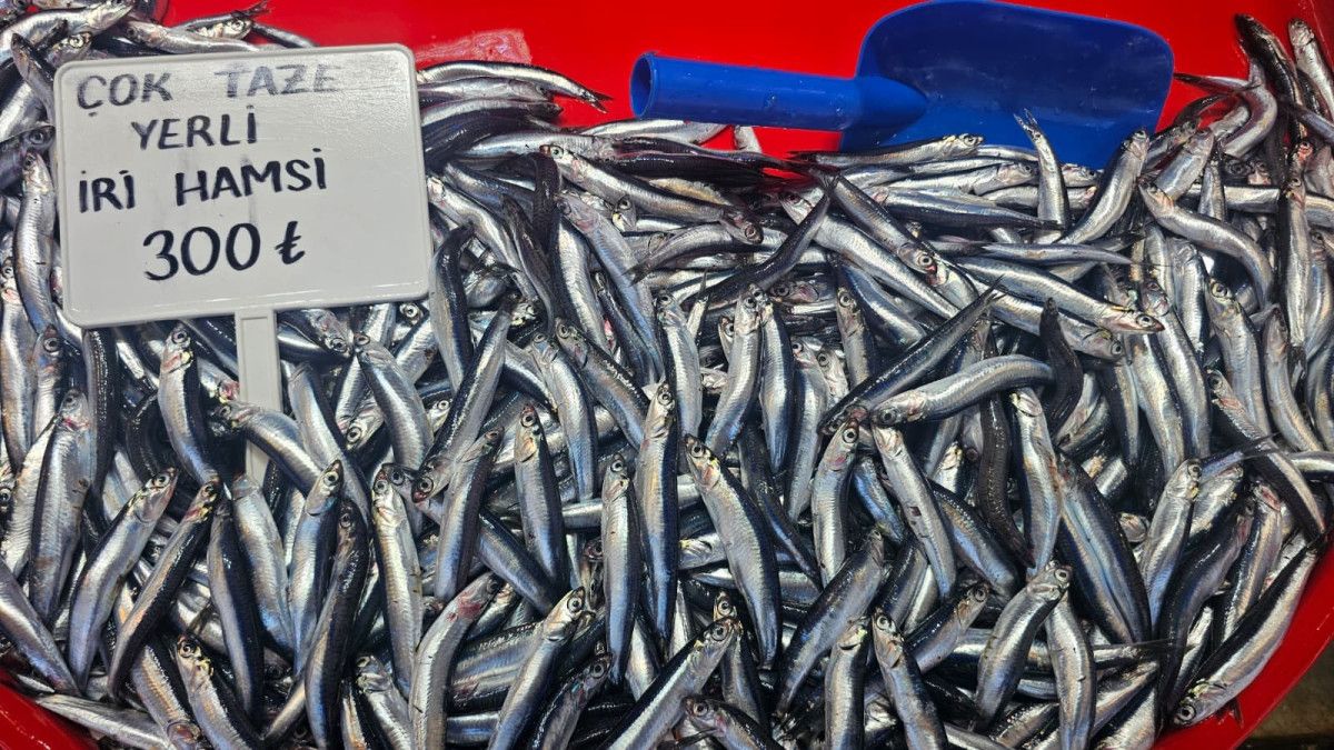 Bandırma Balık Hali’nde Bu Sezonda Balık Bolluğu ve Fiyat Dalgalanmaları