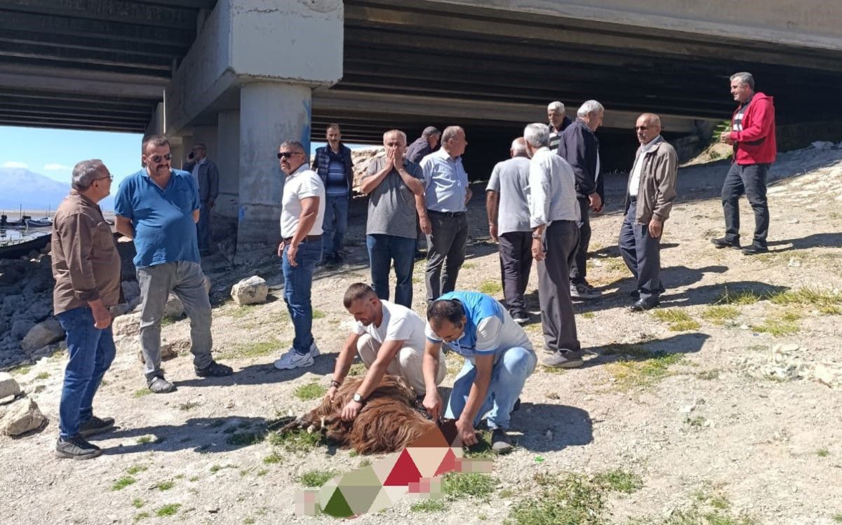 Beyşehir Gölü’nde Kuraklık ve Endişe: Balıkçıların Umudu Dua ve Kurbanla Birleşti