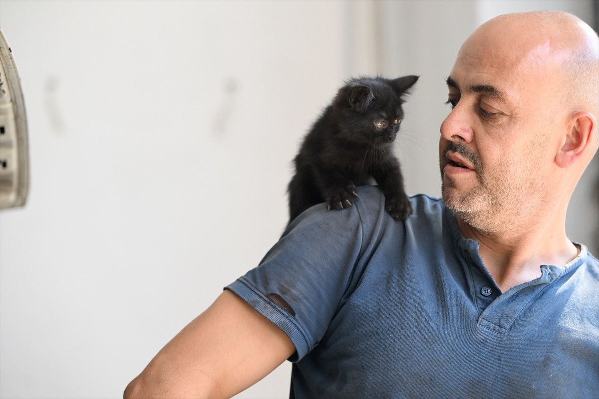 Oto Tamir Atölyesinde Kedili Neşe: Çırak İşi Neşeyle Dolduruyor
