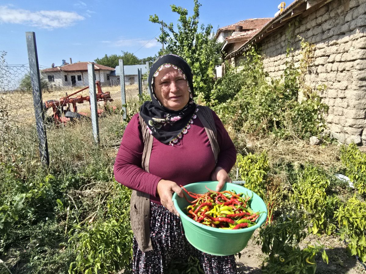 Alcı’da Geleneksel Turşu ve Arabaşı Hazırlıkları: Bahçeden Sofraya